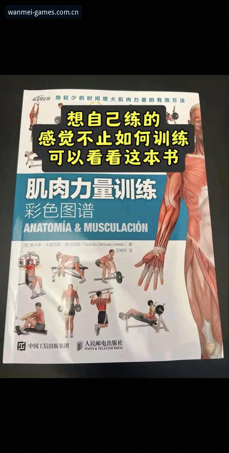老用户实战分享：完美体育使用教程哪个好？从入门到精通的全流程心得